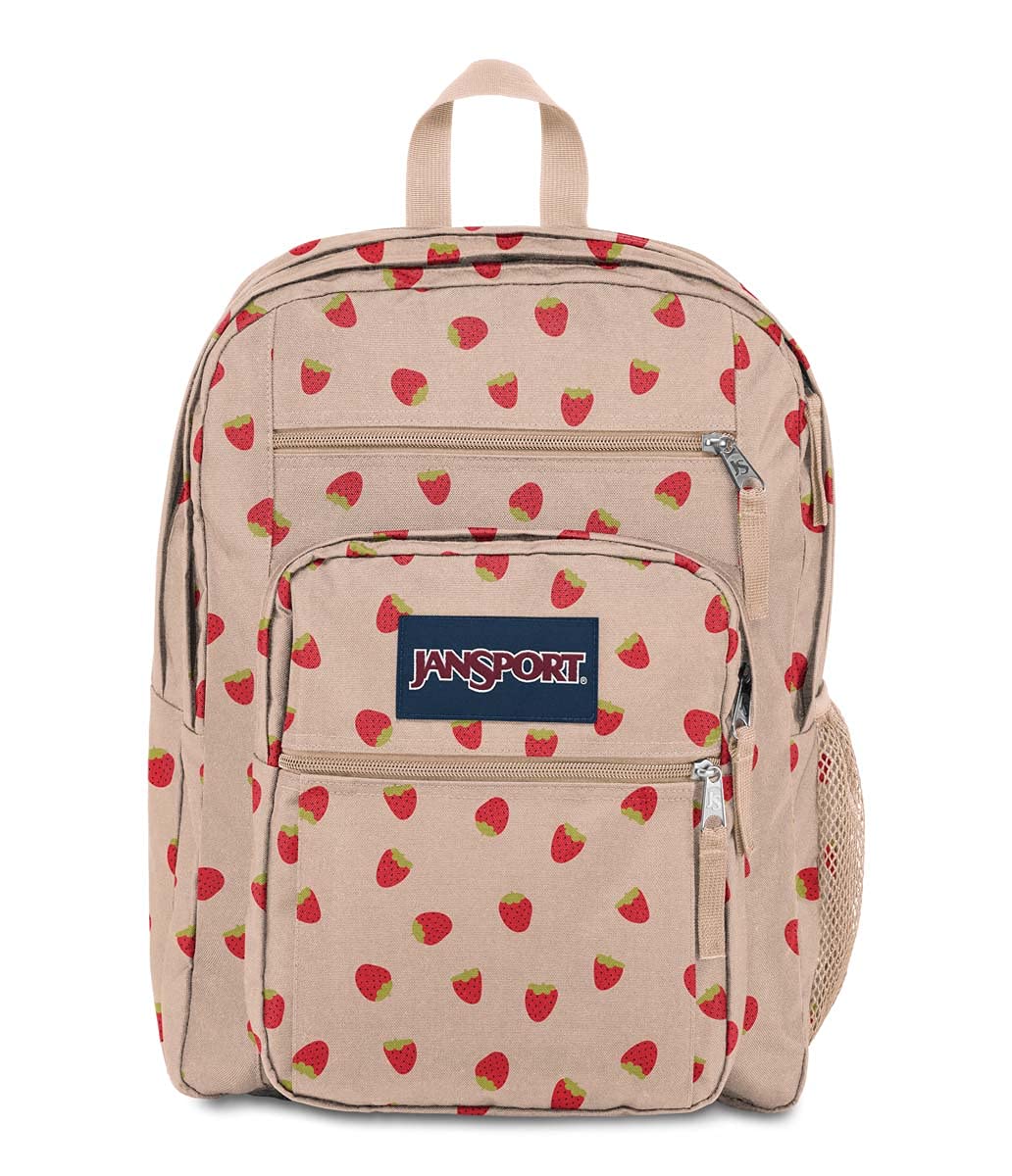 JanSport Laptop Backpack - Computer Bag with 2 Compartments, Ergonomic Shoulder Straps, 15” Laptop Sleeve, Haul Handle - Very Jelly
